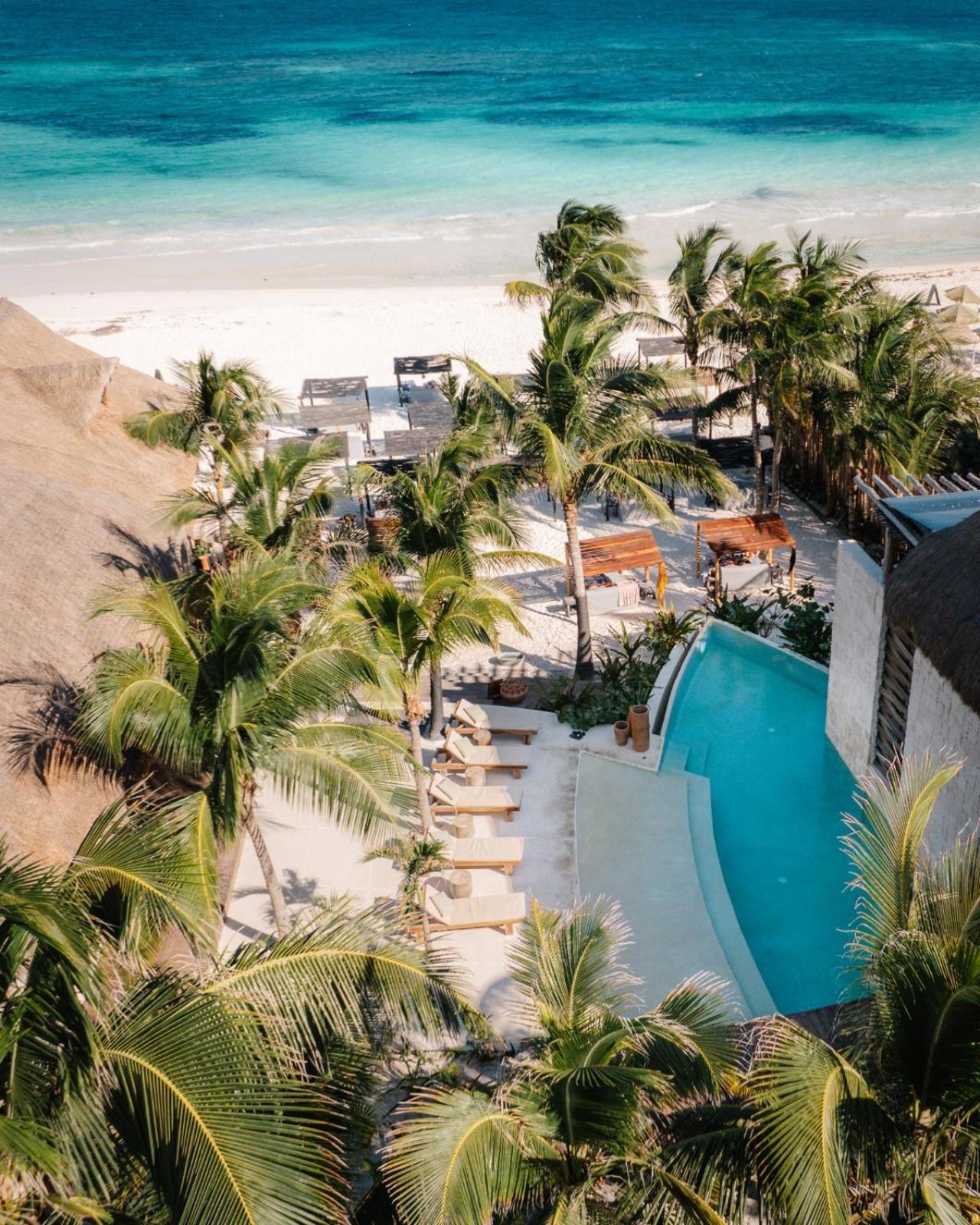 Serene modern condo, 2 BD&snorkel&200 MB WIFI Tulum Eksteriør billede